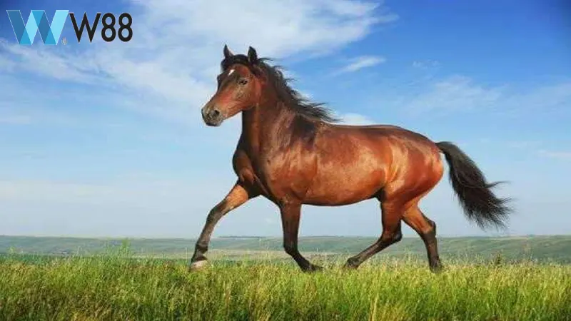 Giải mã ý nghĩa giấc mơ thấy ngựa đánh số gì