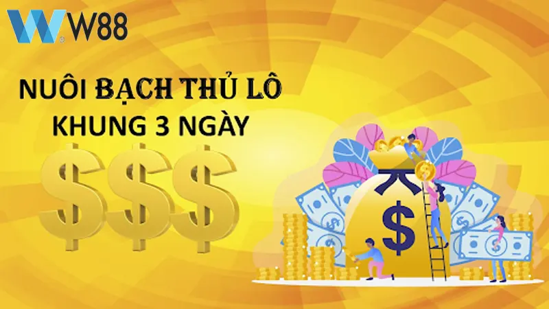 Bạch thủ lô kép nuôi khung 3 ngày  hấp dẫn, chuẩn xác