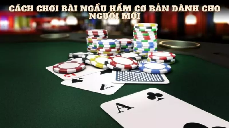 Cách Chơi Bài Ngầu Hầm Chắc Thắng Cùng FB88