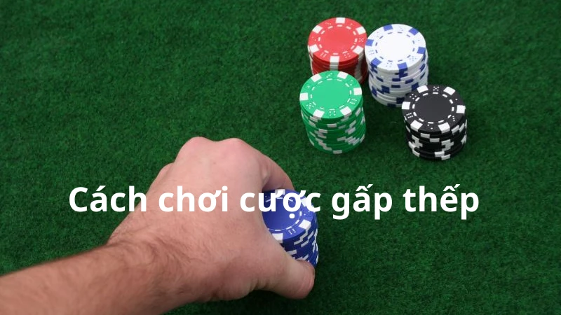 Cách chơi cược gấp thếp đảm bảo hiệu quả cho người chơi