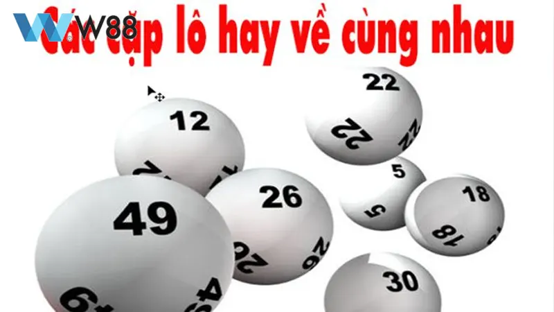 cap-lo-hay-ve-cung-nhau