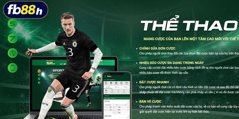 Nhà cung cấp thể thao FB88 đa dạng khu vực chơi cho thành viên