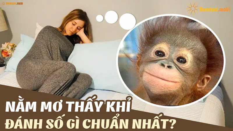 nằm mơ thấy khỉ đánh con số gì