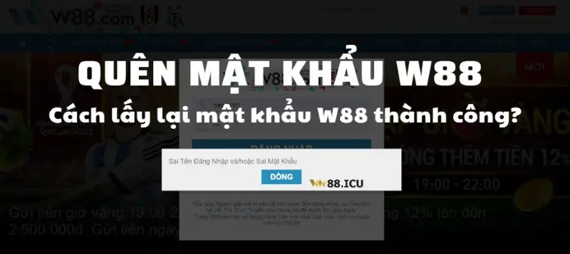 Cung cấp thông tin sai và không bổ sung thông tin chính chủ