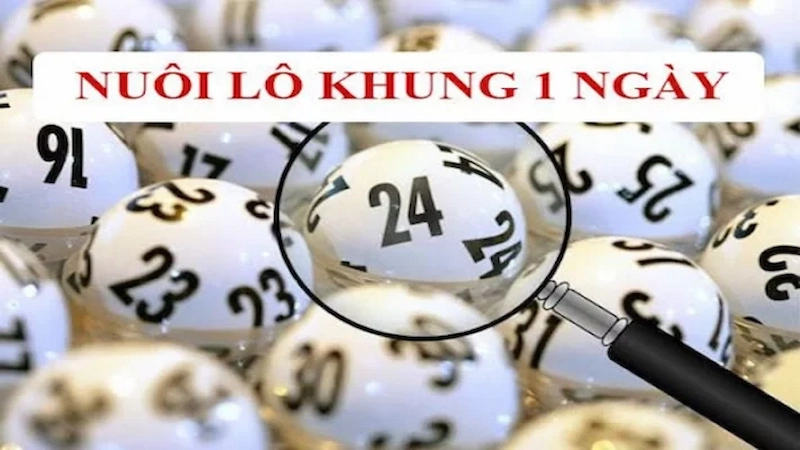 Lô Khung 1 Ngày VIP – Dự Đoán Lô Chính Xác Nhất