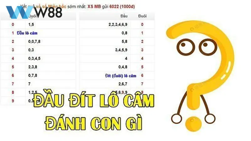 luu y khi choi dau 0 cam danh con gi